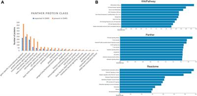 Beyond AOPs: A Mechanistic Evaluation of NAMs in DART Testing